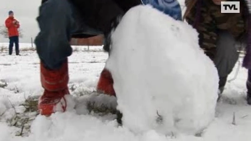 Sneeuwval zorgt voor heel wat afgelastingen
