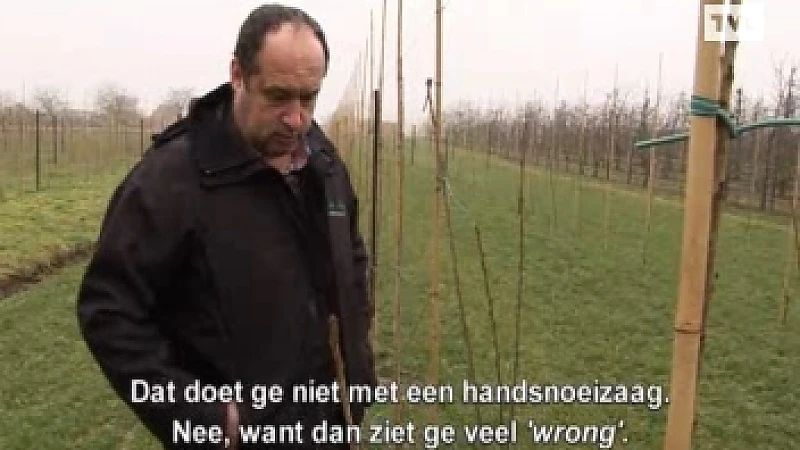 Vandalen beschadigen Alkense fruitplantage
