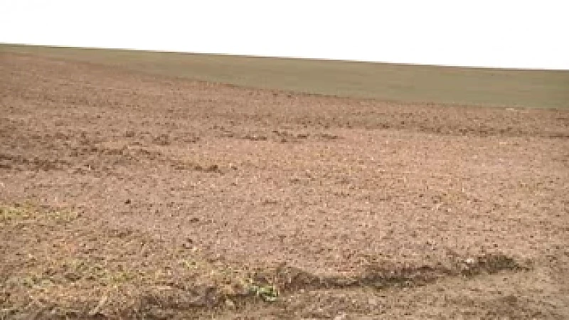 Erosiebestrijding nergens zo intensief als in Limburg