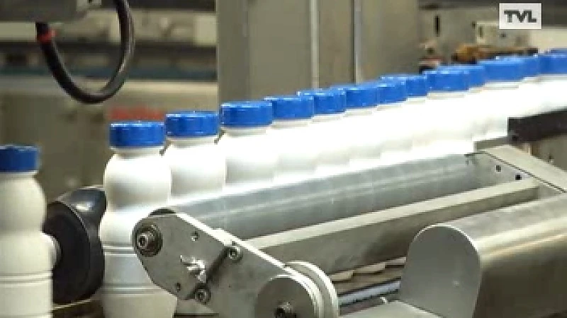 Melkveehouders bang na herstructurering Friesland Campina