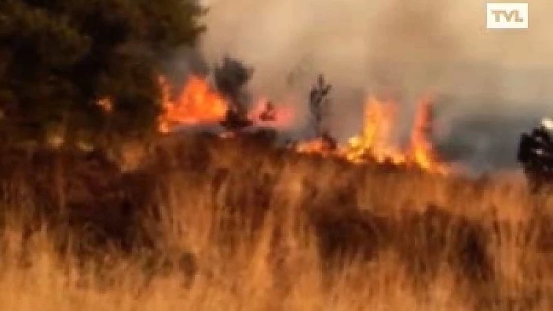 Grote heidebrand Hamont-Achel