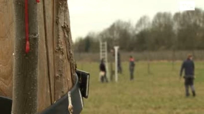 Uitbreiding belevingsboomgaard Speelhof Sint-Truiden