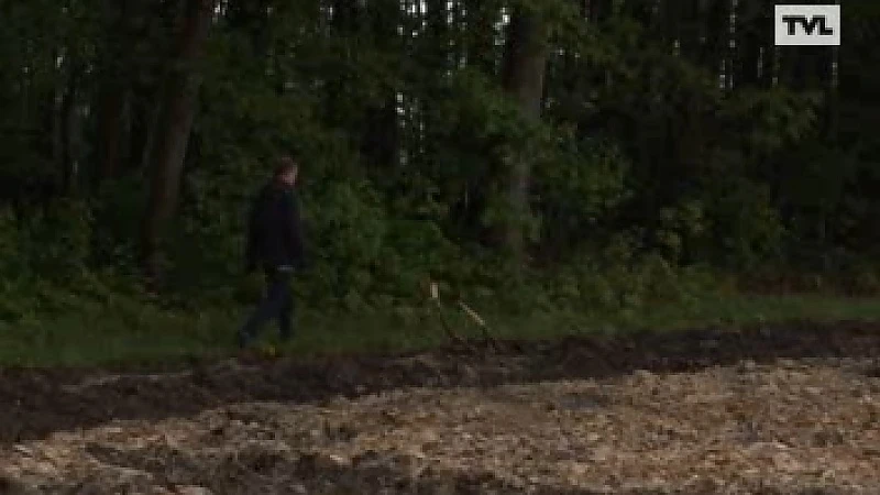 Zeven hectare grasland vernield in Diepenbeek