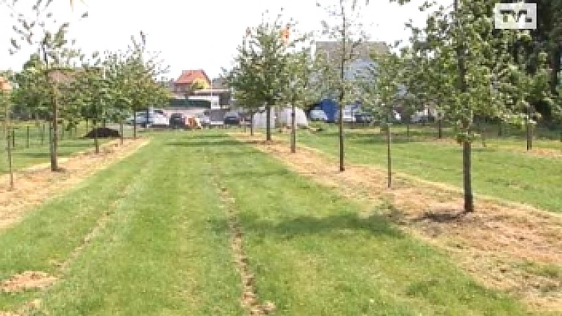 Opblaaspop moet vogels afschrikken in Brustem