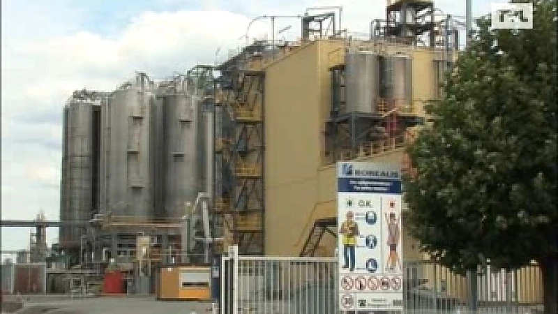 Prikacties bij Borealis in Beringen na ontslag werknemer