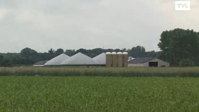 Raad van State vernietigt uitbreiding varkensbedrijf