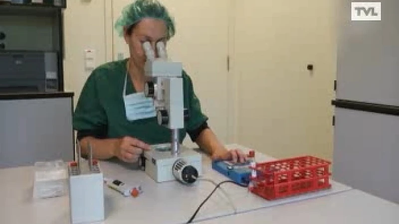 ZOL en UHasselt ontwikkelen betaalbare IVF-methode