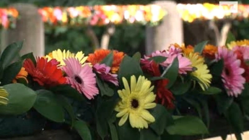Bloemenpracht aan het kasteel Vilain XIIII in Leut