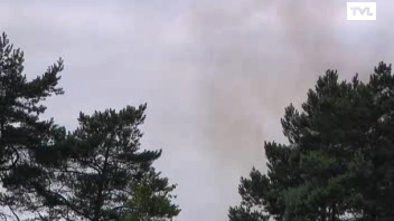 Heidebrand in Hechtel-Eksel