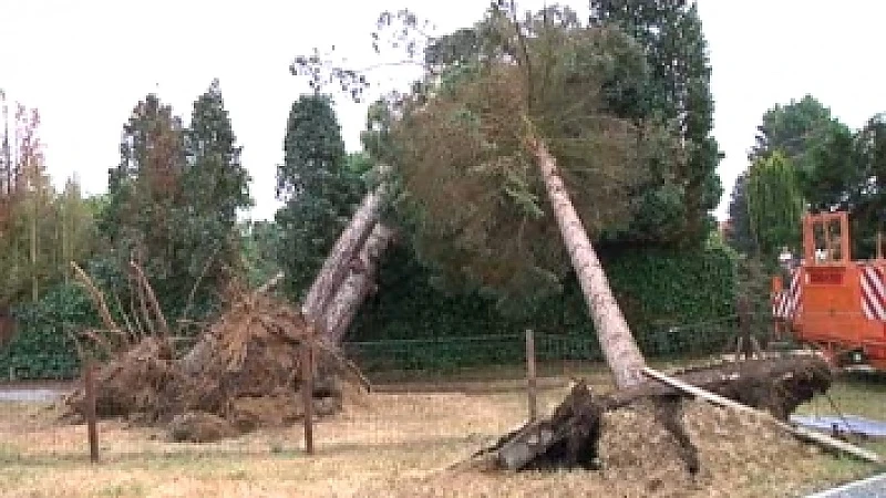 Windhoos zorgt voor veel schade in Heusden-Zolder