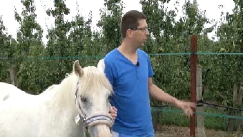 Man gewond na jacht op mogelijke paardenbeul