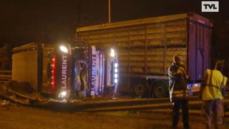 Vrachtwagen met kippen kantelt op autosnelweg Genk