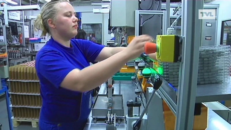 Punch Powertrain neemt Eindhovense DTI over
