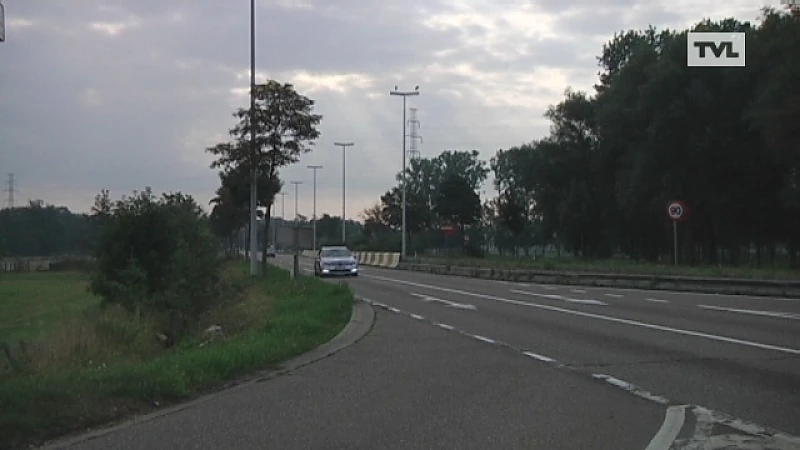 Ooievaars houden halt op Universiteitslaan Hasselt