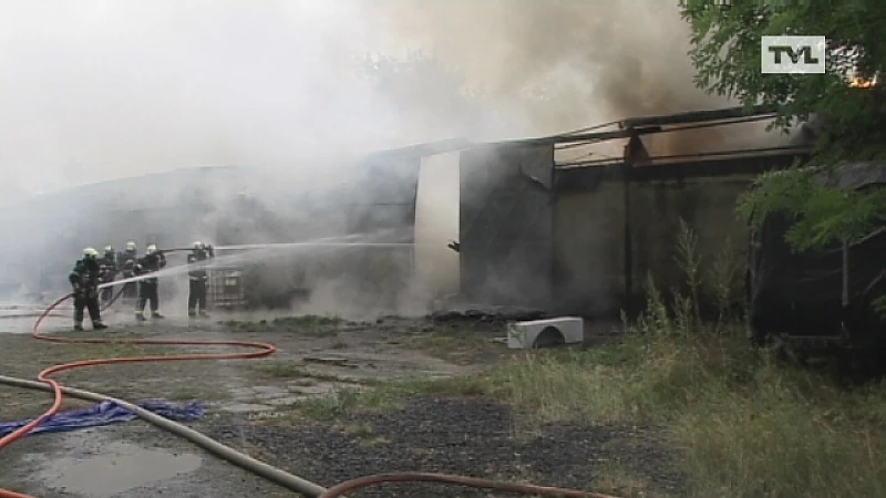 Drie honden sterven in brand in Bilzen