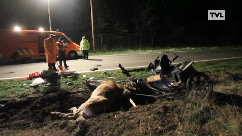 Twee zwaargewonden na aanrijding paardenkoets in Bocholt