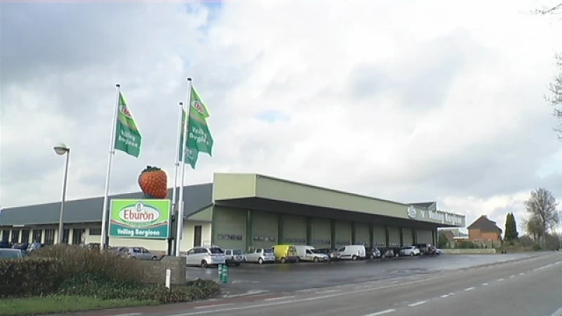 Fusie Veiling Borgloon en Belorta is een feit