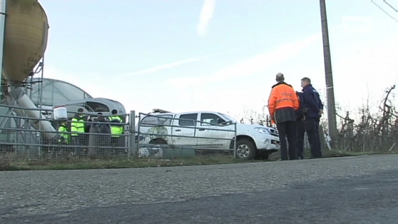 80 verwaarloosde schapen in beslag genomen in Sint-Truiden