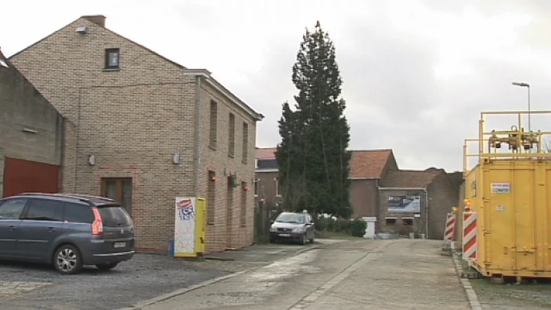 Kerstboom van 17 meter hoog in Borgloon
