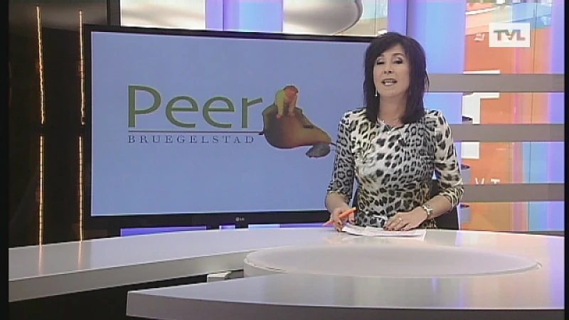 Paardenstal in lichterlaaie in Peer