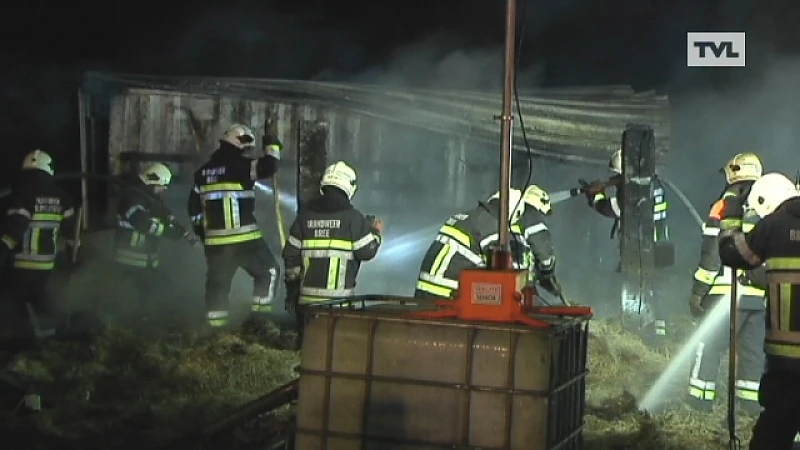 Peer: eigenaar en paarden komen heelhuids uit stalbrand