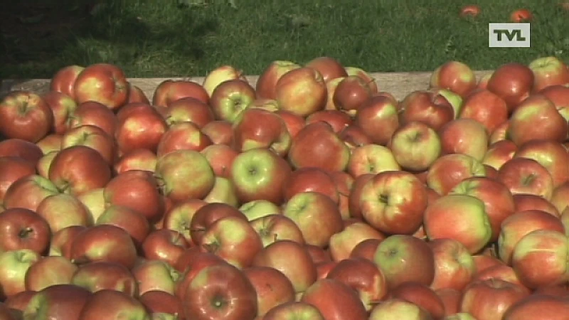Provincie investeert 600.000 euro in fruitsector