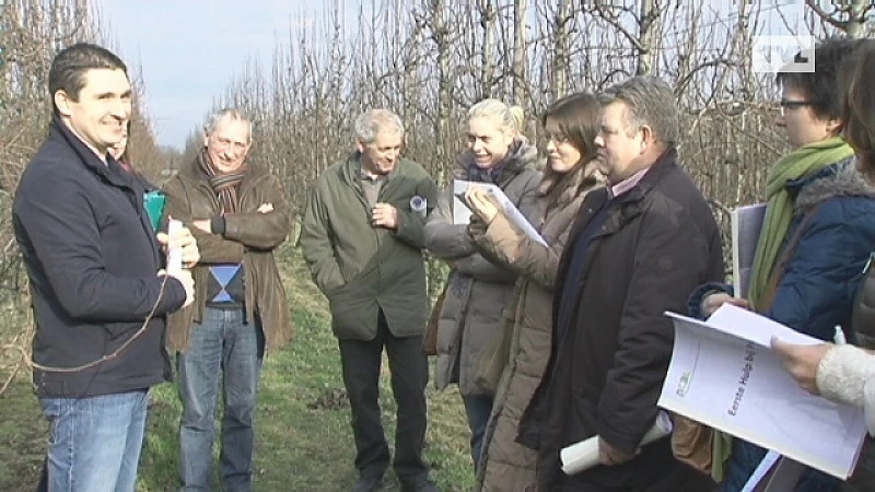 Limburgse fruittelers volgen Poolse les