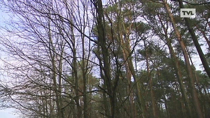Zoekactie naar verdwaalde man in Zutendaal
