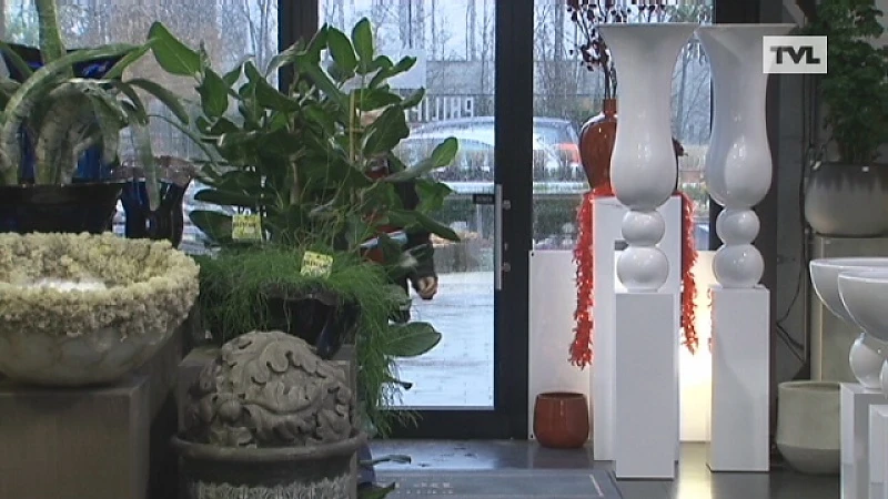 Rode rozen goed voor gepeperde Valentijnsrekening