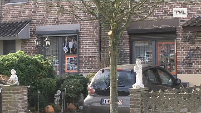 Vredestraat Genk is even groot museum