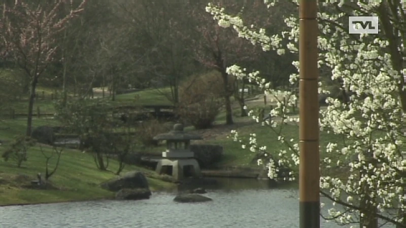 Japanse Tuin Hasselt al vroeg in bloei