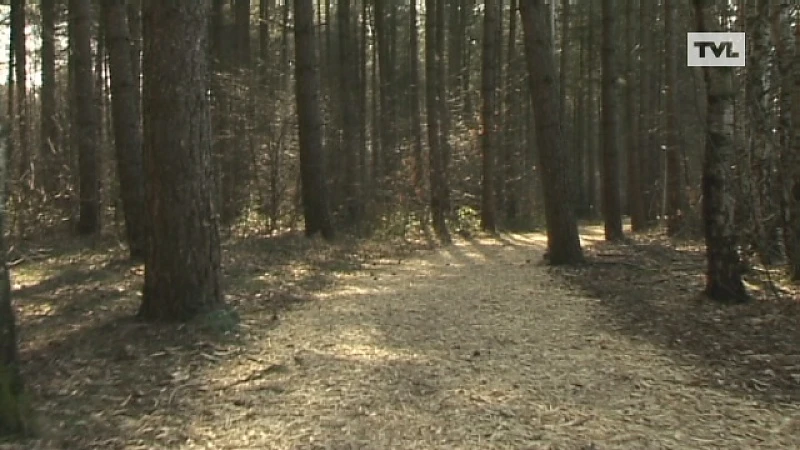 14-jarige jogger nog steeds kritiek na hartfalen