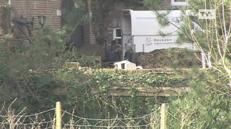 13 pony's op het nippertje gered in Oud-Rekem
