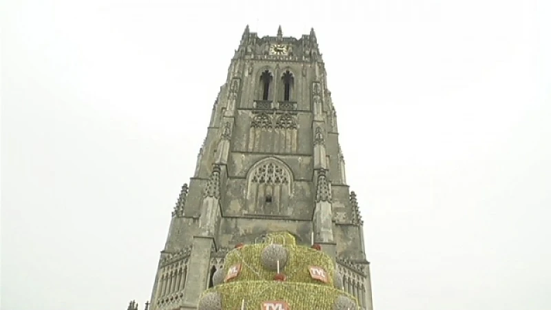 TVL start feestmaand met reuzentaart in Tongeren