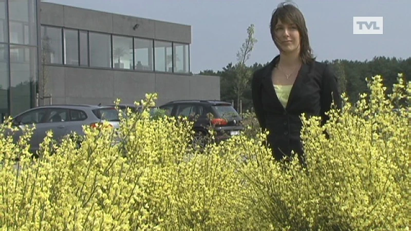 200 Lommelse bedrijven gaan vlinders lokken