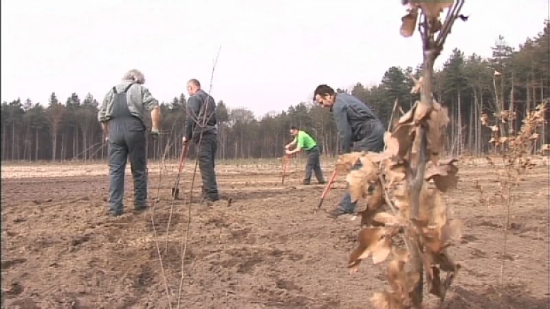 SALK-geld voor Limburgse natuurprojecten