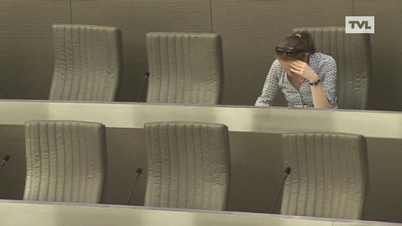 Laatste dagen voor Limburgse parlementsleden