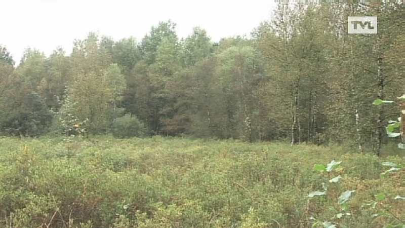Limburgse natuurprojecten profiteren mee van subsidie