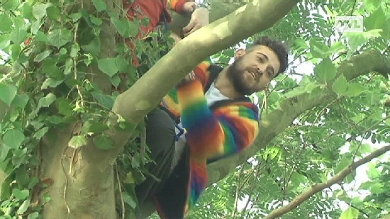 Actievoerders stadspark Hasselt nestelen zich in bomen