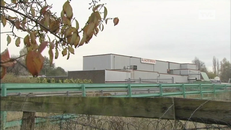 Directeur slachthuis Eisden riskeert cel voor rot vlees