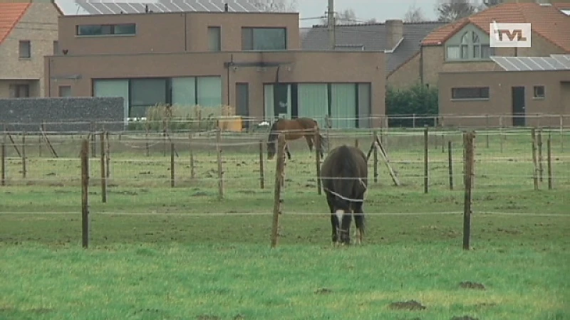 Gezondheid jongeren Genk-Zuid opnieuw onderzocht