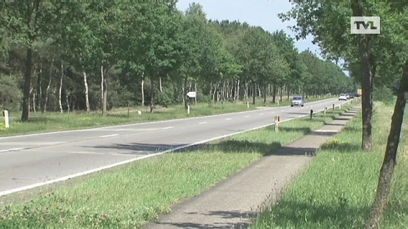 Vreemd: ''oorlogsrozen'' komen niet uit in Hechtel