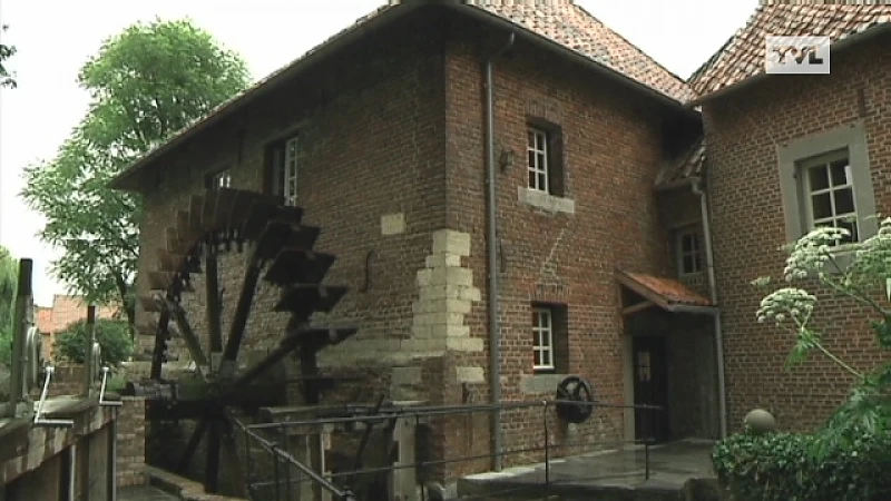 Hoogmolen in Lauw maalt weer