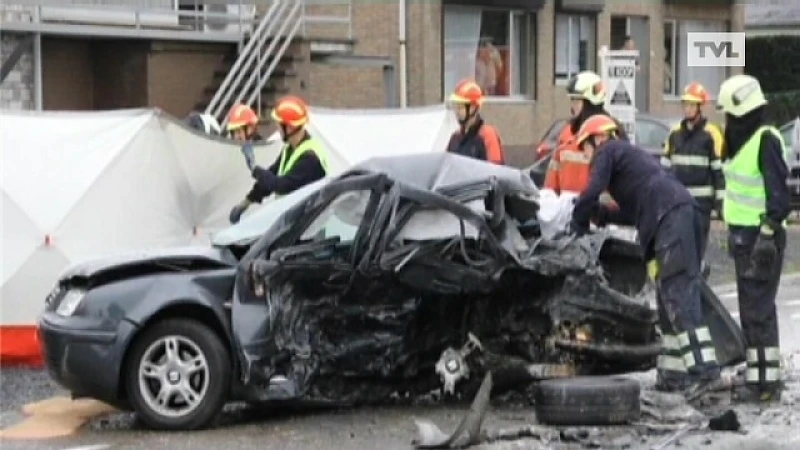 Bestuurder komt om in Leut