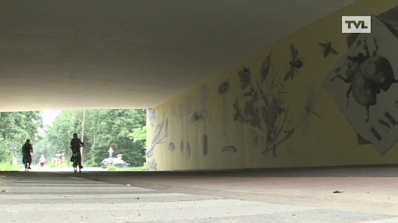Brug vol insecten in Genk