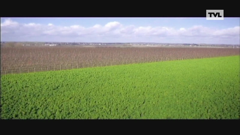 Nederlands-Limburg zet drones in tegen drugs