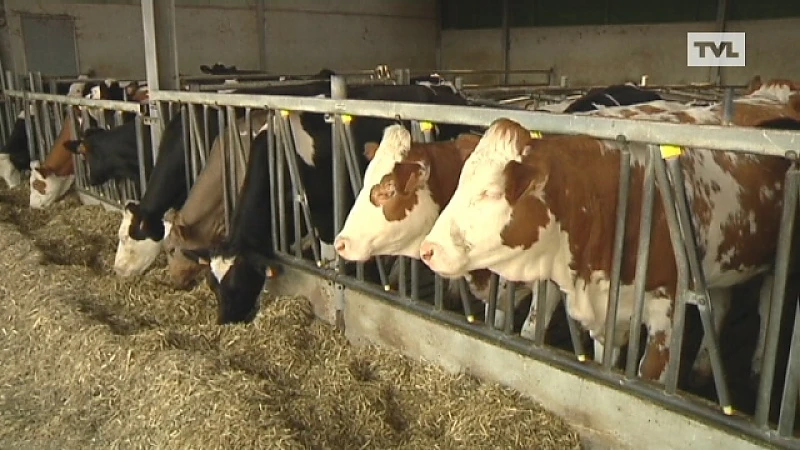 Limburgse landbouw goed voor 6,2 miljard per jaar
