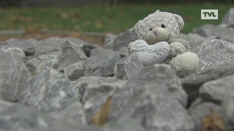 Vandalen beschadigen gedenkteken Sierre in Lommel