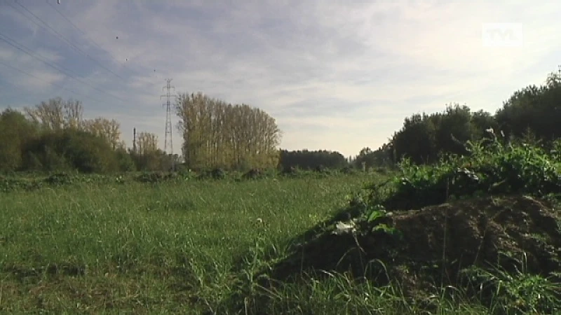 Bouw IKEA voor maanden vertraagd