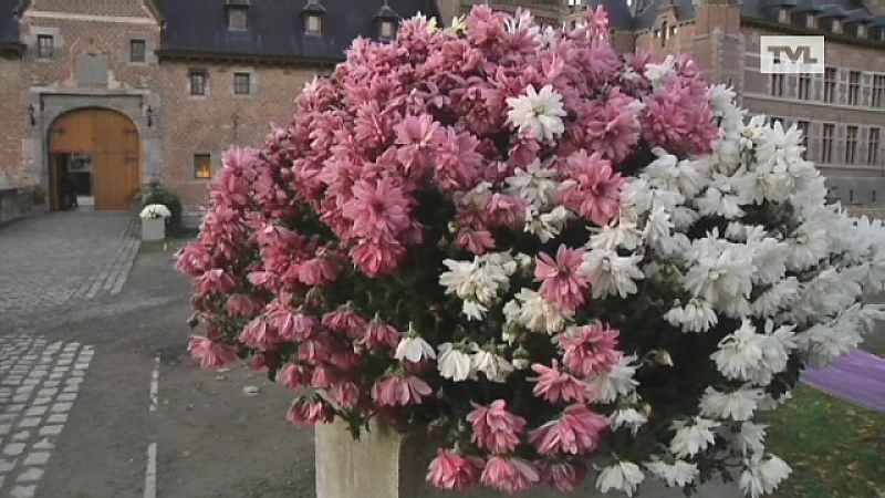Floristen showen in kasteel van Ordingen